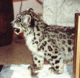 431.jpg